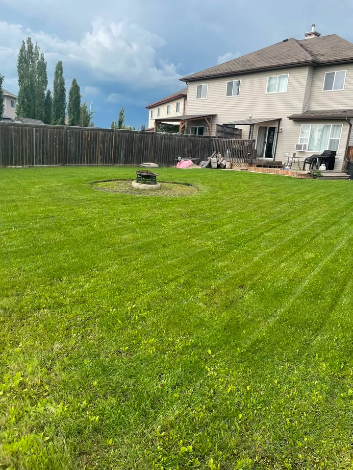 The same backyard lawn cut short and neatly trimmed after Cedarline's visit