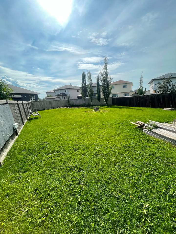 Overgrown backyard lawn with long grass before Cedarline mowing service